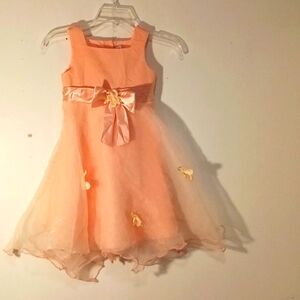 Youngland girls dress 5